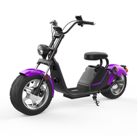 Motocicleta Eléctrica para Adultos, Scooter Eléctrico Citycoco de Bajo Consumo, Batería Nueva