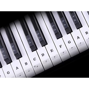Phím đàn piano có thể tháo rời dán cho người mới bắt đầu đàn piano bàn phím dán cho trẻ em Bàn phím dán cho phím đàn piano nhãn ghi chú - Product Image 1