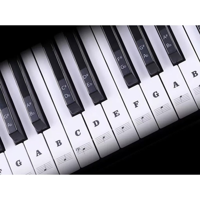 Keys Removable Piano Stickers for Beginners Piano Keyboard Stickers for Kids Keyboard Stickers for Piano Key Labels Notes