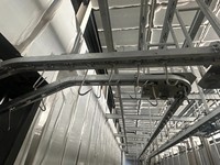 Étourdisseur électrique automatique haute performance pour porcs, machine d'abattage de porcs pour ligne de traitement d'abattoir de porc