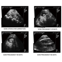 Mini Ecógrafo Veterinario de Palma RKU10 con Sonda Transrectal para Animales Grandes y Pequeños - Prueba de Embarazo para Cerdos, Perros, Caballos, Ganado, Ovejas