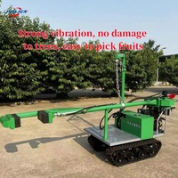 Vibrant Ple Tronc Vibrateur Amande Orange Fruit Olive Tree Shaker Harvest Machine