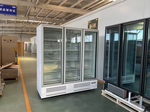 Réfrigérateur Commercial Vertical à Porte Vitrée, Vitrine Réfrigérée pour Boissons Fraîches et Énergisantes, Congélateur - Product Image 2