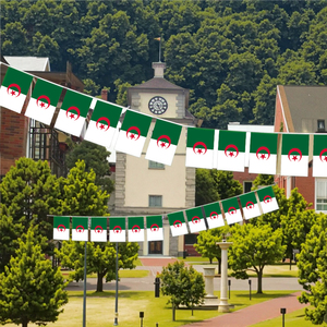 Banderines de la bandera de Argelia del fabricante al por mayor, tamaño <span class=keywords><strong>y</strong></span> patrón personalizados para decoraciones - Product Image 4