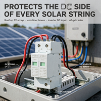 Parasurtenseur DC Type 2 SPD 1000V 40kA 2P Certifié GB/IEC pour les systèmes solaires photovoltaïques et le stockage d'énergie industrielle