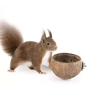 Comedero de Cáscara de Coco para Hámster, Ardilla, Cobaya, Loro, Tazón de Comida Fijo de Cáscara de Coco - Product Image 1