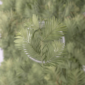 Vraies feuilles de <span class=keywords><strong>Metasequoia</strong></span> pressées pour l'artisanat botanique, cadeau de Noël, cadeaux de douche nuptiale et décoration d'ongles. - Product Image 3