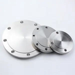 Sanitary Stainless Steel 24 Large Forging Blind Flange 2-630mm Duplex Steel Stub End Flanges