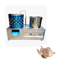 QDMECH Plumeuse automatique tout-en-un en acier inoxydable pour volailles, poulets et pigeons, 220V