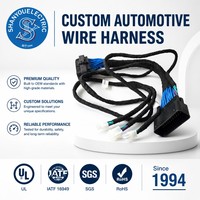 Kabel Kontrol Perakitan Kabel Harness Mobil Elektronik Shanyou yang Dapat Disesuaikan, Adaptor Konduktor Aluminium, Isolasi Nilon, 100mm, 12V