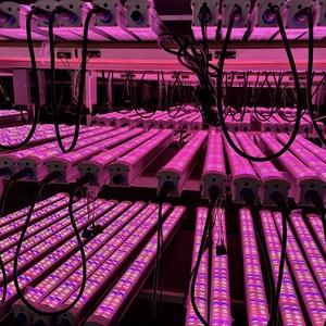 Nouveau lancement 125W + 25W auvent LED élèvent la lumière haut rouge lointain UV BSCI ISO certifié pour câble de connecteur Bloom vendu séparément - Product Image 4