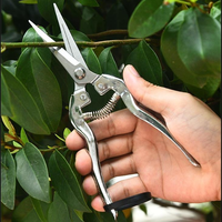 Sécateur professionnel en acier inoxydable à haute teneur en carbone, ensemble de ciseaux de jardin pour la taille des branches d'arbres