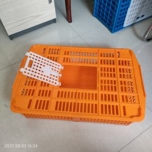 Gabbia di Trasporto in Plastica per Quaglie e Roditori, Cassa per Trasferimento Pollame PH-281 - Product Image 6