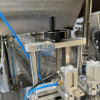 Équipement de remplissage de pompe à engrenages à double tête en acier inoxydable entièrement automatique Machines pour crème shampooing lotion pâte sauce cosmétique miel