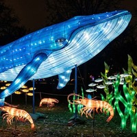 Decoración de Faroles con Forma de Animales Marinos para Parques de Atracciones, Uso en Interiores/Exteriores, Espectáculo de Luces para Parques Temáticos
