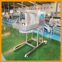 DY Bananenchipsmachine Snijmachine Productielijn 150/260/300/500kg/u SUS 304 Plantainchips Productielijn voor Nieuwe Start