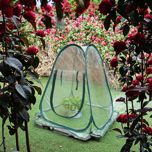 Portable Mini PVC Transparent Flower <strong>Balcony</strong> Patio Plant Succulent Warm Insulation Shed Foldable Pop <strong>Greenhouse</strong> Nature Pressure - Product Image 2