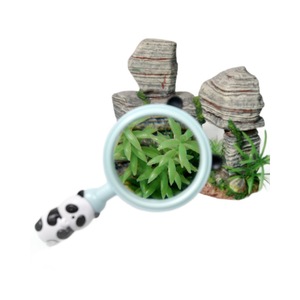 Avit Childrens Magnifying Glass Plastic Portable Biological Observation Outdoor Use Panda Design TH-8350 - Product Image 5