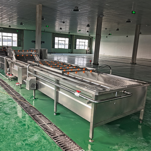 Automatische Obst- und Gemüse-Reinigungsmaschine mit Wasserrückgewinnungssystem, Energiesparend CE-Zertifiziert - Product Image 6