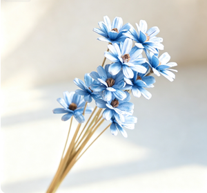 Ramo <span class=keywords><strong>de</strong></span> Flores Secas <span class=keywords><strong>de</strong></span> <span class=keywords><strong>Semillas</strong></span> <span class=keywords><strong>de</strong></span> Girasol Hecho a Mano, Ecológico y Duradero, con Cáscaras <span class=keywords><strong>de</strong></span> Frutas Naturales, Decoración para el Hogar, San Valentín - Product Image 5