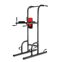 Torre de Ejercicios de Acero Inoxidable con Barra de Dominadas y Estación de Dips, Capacidad de 450 LBS, Estable para Gimnasio en Casa, Ejercicios de Fitness y Culturismo