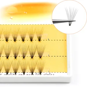 Grafting World 10D Adhesive Root Individual eyelash 60 Pcs Make Up Cluster Russia Volume