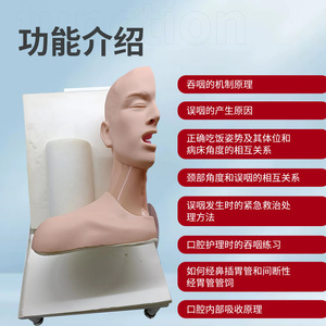 Modèle de démonstration avancé du mécanisme de mastication et de respiration ; Modèle avancé du mécanisme de mastication ; Mastication humaine - Product Image 3