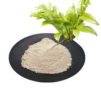 Extrait de thé de vigne naturel Bioverse Supply DHM 98% Poudre de dihydromyricétine