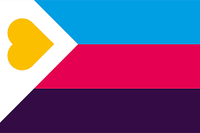 Stock 100% polyester 3 * 5ft Pride Support polyamoureux polyamour fierté Drapeau avec deux œillets