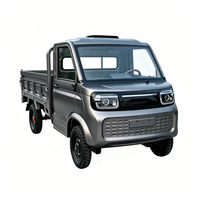 Mini camion cargo Ouganda avec logo personnalisé, batterie 60V, caméra de recul MP5 pour le marché de gros