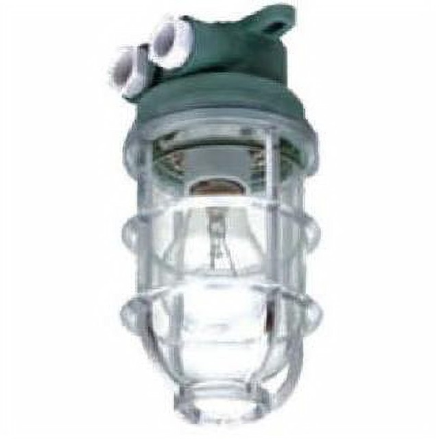 The Cost-effective Products ,Marine Light CCD6-2 Incandescent Pendant Light, the Series of Incandescent Light for Boat