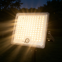 Projecteur LED à économie d'énergie pour jardin, idéal pour l'éclairage extérieur résidentiel et commercial
