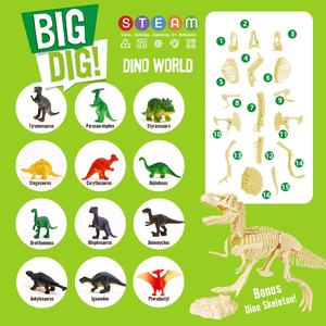 Juguete de Descubrimiento de Dinosaurios, Excavación Arqueológica, Set de Huevos con Fósiles y Esqueletos de Dinosaurios, con 12 Dinosaurios y Herramientas de Excavación - Product Image 4