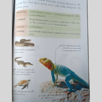 Libro de Texto de Ciencias de Alta Calidad, Personalizado, OEM, Encuadernación Perfecta, Papel Recubierto, Tapa Blanda