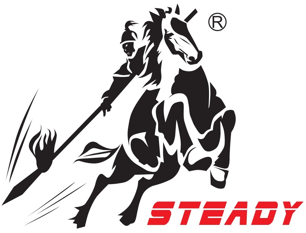 Guangdong Steady Technology Co., Ltd. logo
