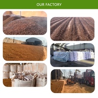 Bahan Kimia Industri Desulfurizer Oksida Besi untuk Desulfurisasi Halus