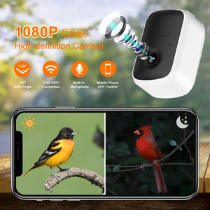 Smart Outdoor Waterproof AI Detect 10,000 <strong>Bird</strong> Species Squirrel-proof <strong>Bird</strong> <strong>Feeder</strong> with Camera - Product Image 2