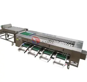 Máquina de classificação de frutas de romã/máquina de classificação de maçãs para vegetais, fábrica chinesa