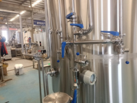 Chaîne de brassage de 1000 L, chaudière de brassage à chauffage direct de 10 BBL, système de brasserie de 10 HL