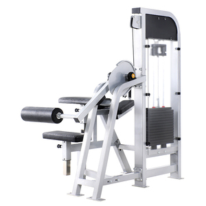 Strength Training Hip Extension Workout Plate Loaded Legs and Glute Machines Full Set Fitness Equipment WD-HX629 OEM/ODM Customi - Product Image 1