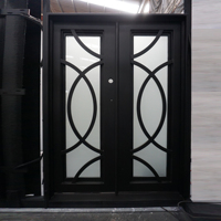 Écran moderne tige d'entrée principale maison tempête sécurité noir simple double moderne coût forgé portes d'entrée en fer