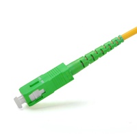 Kabel Patch Fiber Optik Kustom SC/APC FC/LC Singlemode Simplex CATV Pigtail OS2 G652D G657A 3M PVC/LSZH Jacket 2.0 3.0