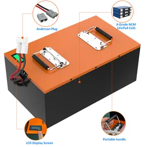 Batteria al litio triciclo ciclomotore elettrico personalizzato 48V 60Ah lifepo4 batteria per auto elettrica