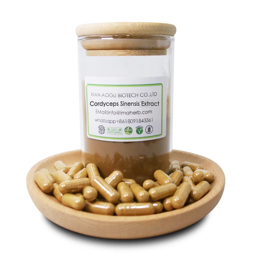Organic Pure Cordyceps sinensis extract powder mushroom 30%- 50% Polysaccharides Cordyceps sinensis CS-4 Extract Powder