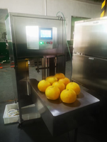 Meloen Fruit Groente Pompoen Peeling Machine Grapefruit Peeling Machine Ananas Dunschiller Voor Fruit Verwerking Fabriek