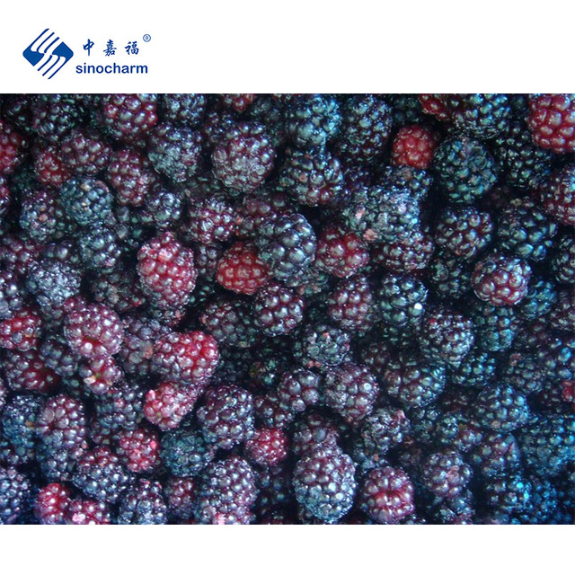 Sinocharm 4-Star Product BRC-A IQF Fresh Fruit Wholesale Price 1kg Pack IQF Berries Whole Frozen Fresh Blackberry From China