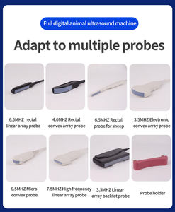 Mesin <span class=keywords><strong>Ultrasound</strong></span> medis bersertifikasi <span class=keywords><strong>Ce</strong></span> nirkabel genggam 192 elemen dokter hewan mesin <span class=keywords><strong>Ultrasound</strong></span> Linear anal - Product Image 5