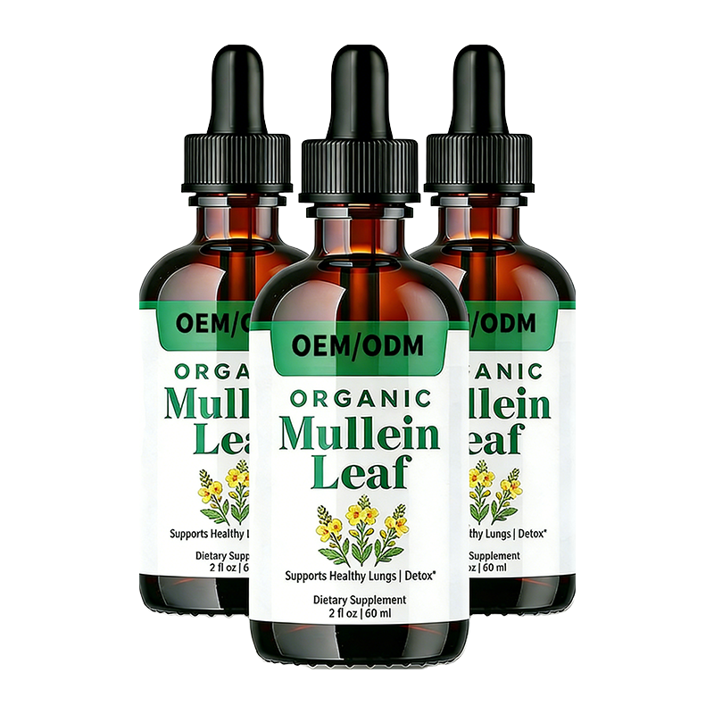 OEM/ODM Mullein Leaf Extract Liquid Drops Supports Healthy Breathing A Strong Immune System And Comfortable Digestion