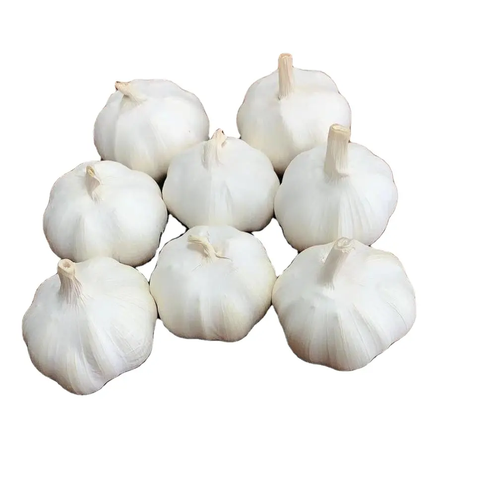 Trung Quốc/Trung Quốc tươi trắng garlics Nhà cung cấp (tỏi Đỏ/tỏi trắng) 500g/1kg