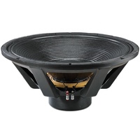 Haut-parleur de scène professionnel 24 pouces Subwoofer Bass 24 ''Dj Neo Pro 24 Sub Woofer Price Pro pa Audio alimenté au néodyme